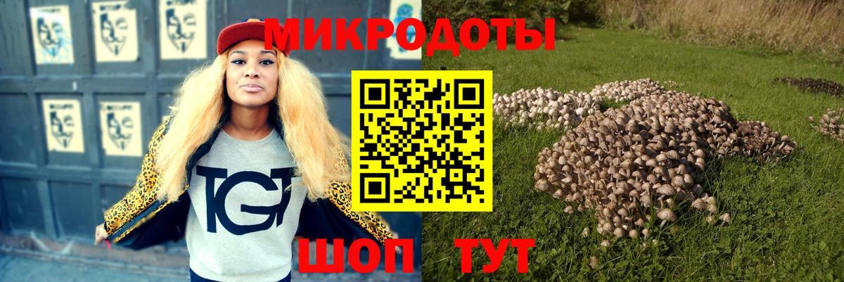 Галлюциногенные грибы Psilocybe Орехово-Зуево